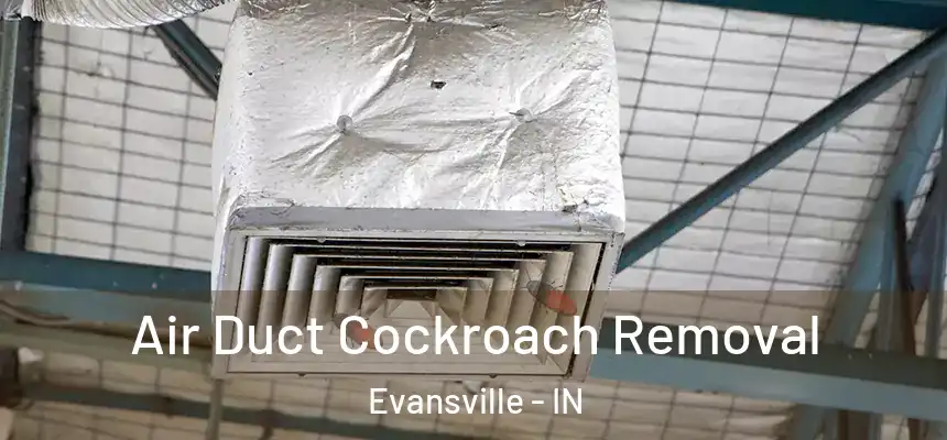  Air Duct Cockroach Removal Evansville - IN