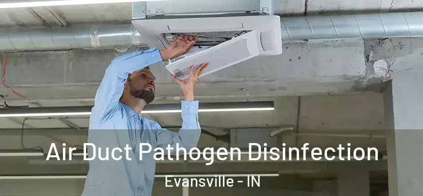 Air Duct Pathogen Disinfection Evansville - IN