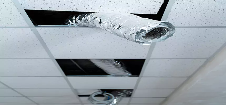 Affordable HVAC Sanitizing After Pest Removal in Evansville