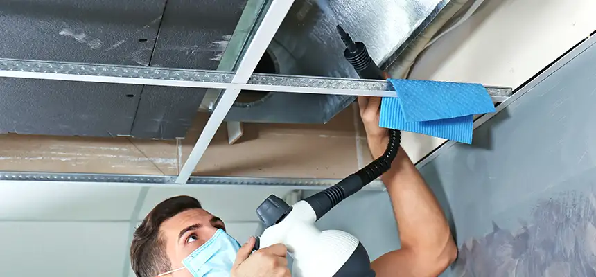 Our Air Duct Rodent Removal Services in Evansville, IN
