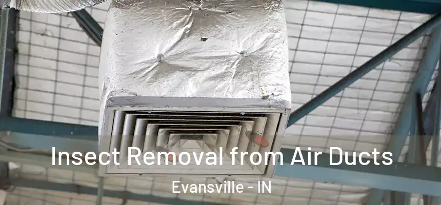 Insect Removal from Air Ducts Evansville - IN