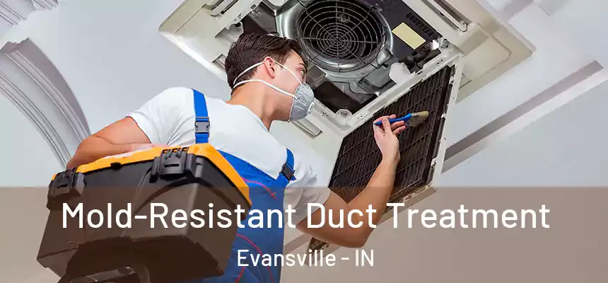 Mold-Resistant Duct Treatment Evansville - IN