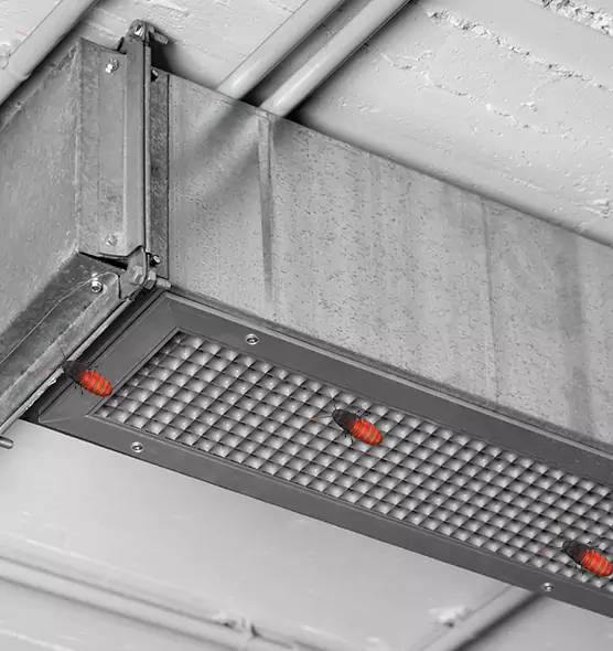 About Air Duct Cockroach Removal in Evansville, IN
