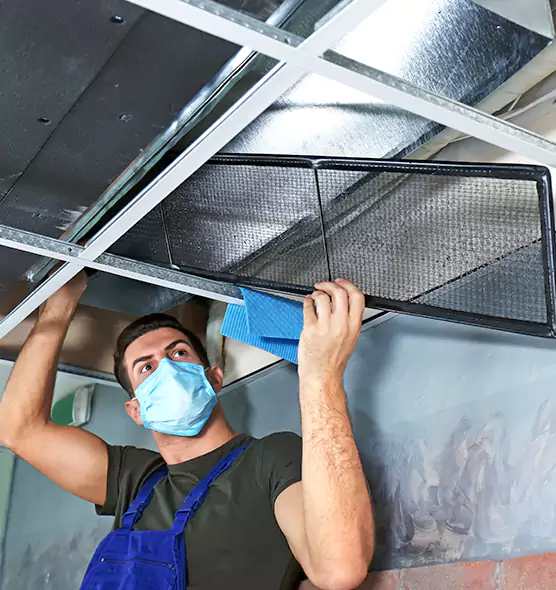 Professional Air Duct Pollen Cleaning in Evansville, IN