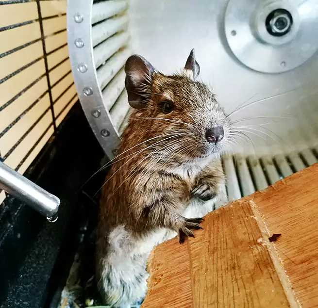 Why Homeowners & Businesses Trust Us Evansville, IN?