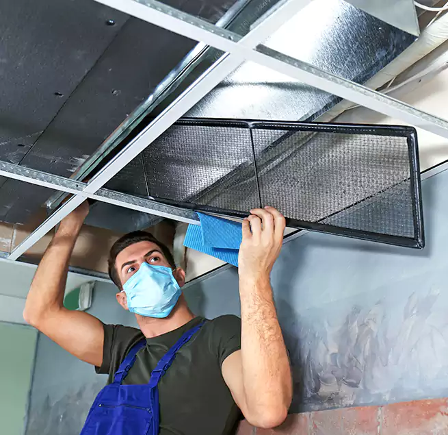 Why Homeowners Businesses Trust Us in Evansville, IN