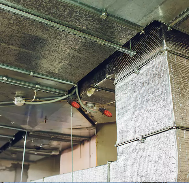 Why Homeowners & Businesses Trust Us Evansville, IN?